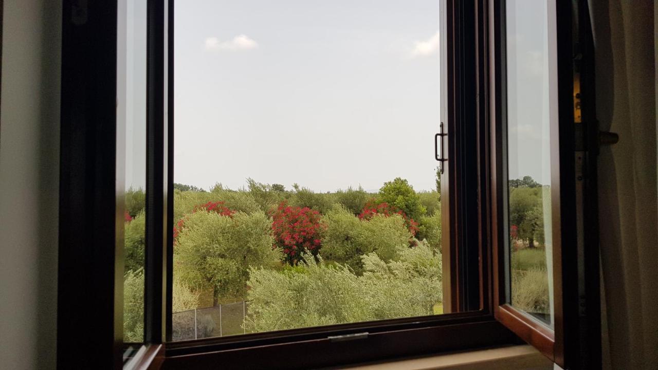 Il Casale Degli Ulivi - Agriturismo - Tenimenti Leone Lanuvio Exteriör bild
