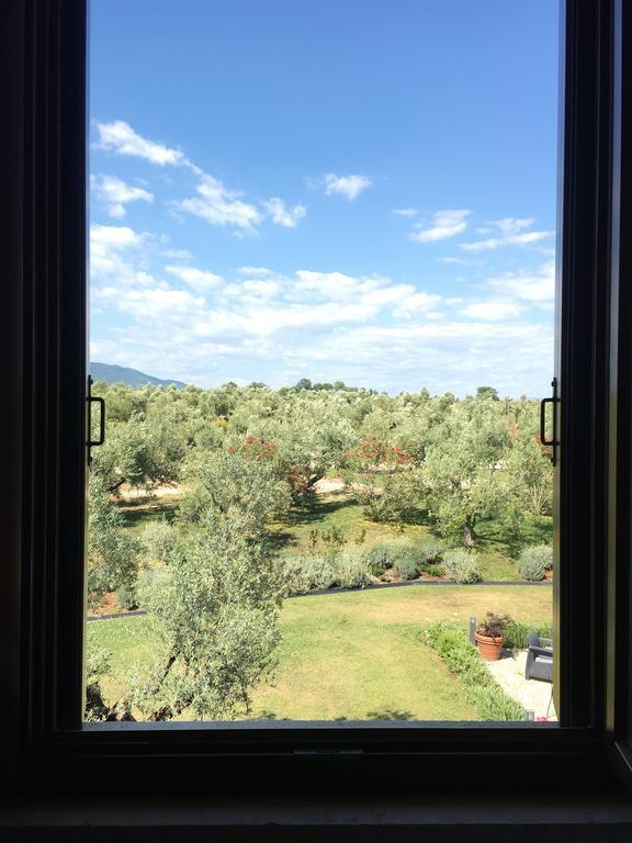 Il Casale Degli Ulivi - Agriturismo - Tenimenti Leone Lanuvio Exteriör bild