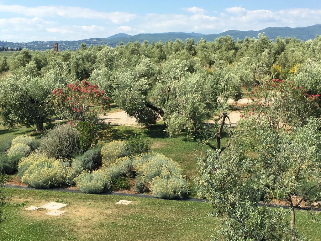Il Casale Degli Ulivi - Agriturismo - Tenimenti Leone Lanuvio Exteriör bild