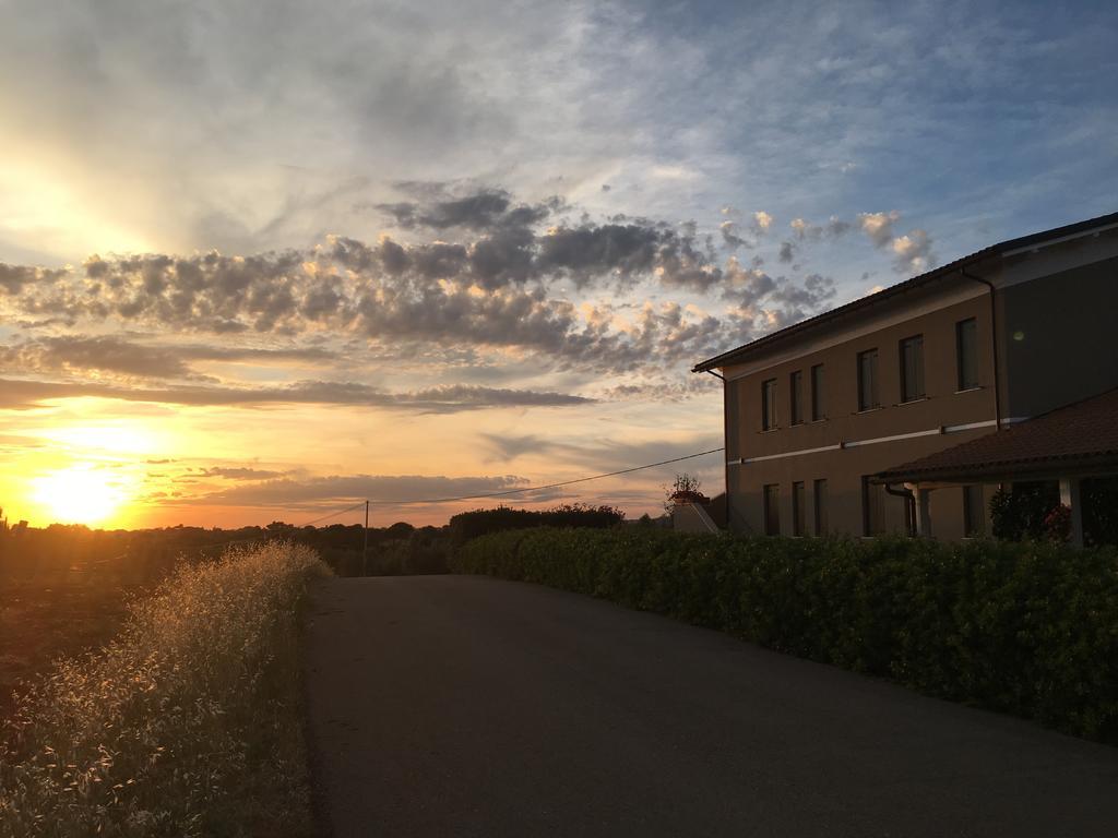 Il Casale Degli Ulivi - Agriturismo - Tenimenti Leone Lanuvio Exteriör bild