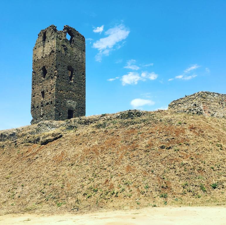 Il Casale Degli Ulivi - Agriturismo - Tenimenti Leone Lanuvio Exteriör bild