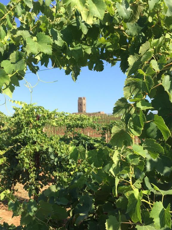 Il Casale Degli Ulivi - Agriturismo - Tenimenti Leone Lanuvio Exteriör bild