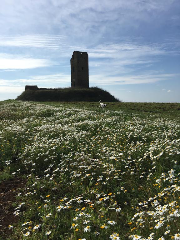 Il Casale Degli Ulivi - Agriturismo - Tenimenti Leone Lanuvio Exteriör bild