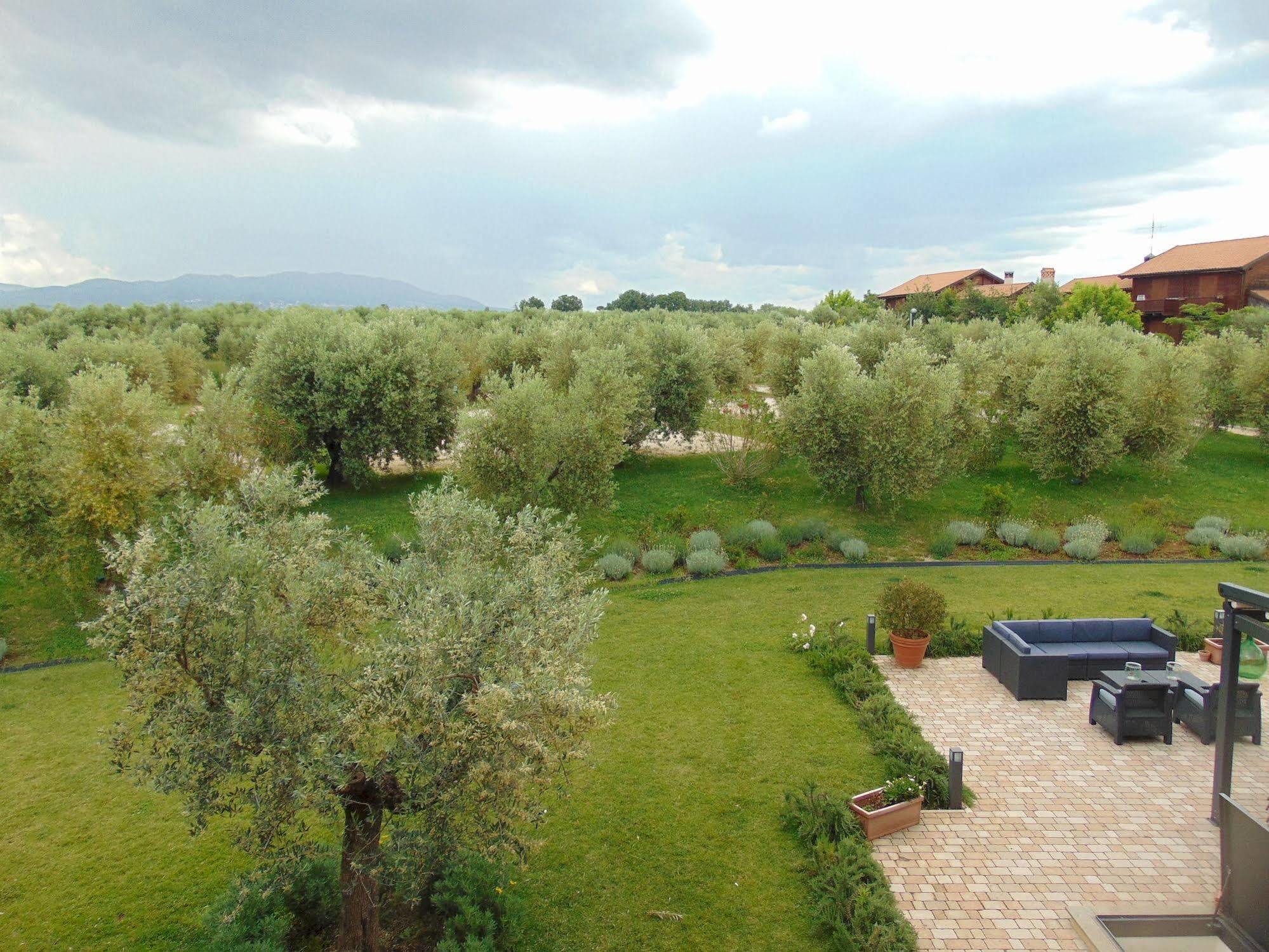 Il Casale Degli Ulivi - Agriturismo - Tenimenti Leone Lanuvio Exteriör bild