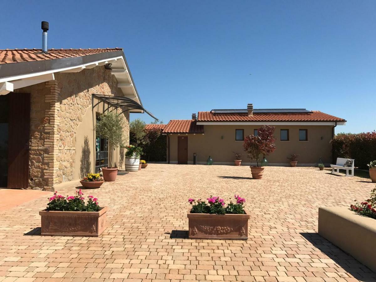 Il Casale Degli Ulivi - Agriturismo - Tenimenti Leone Lanuvio Exteriör bild