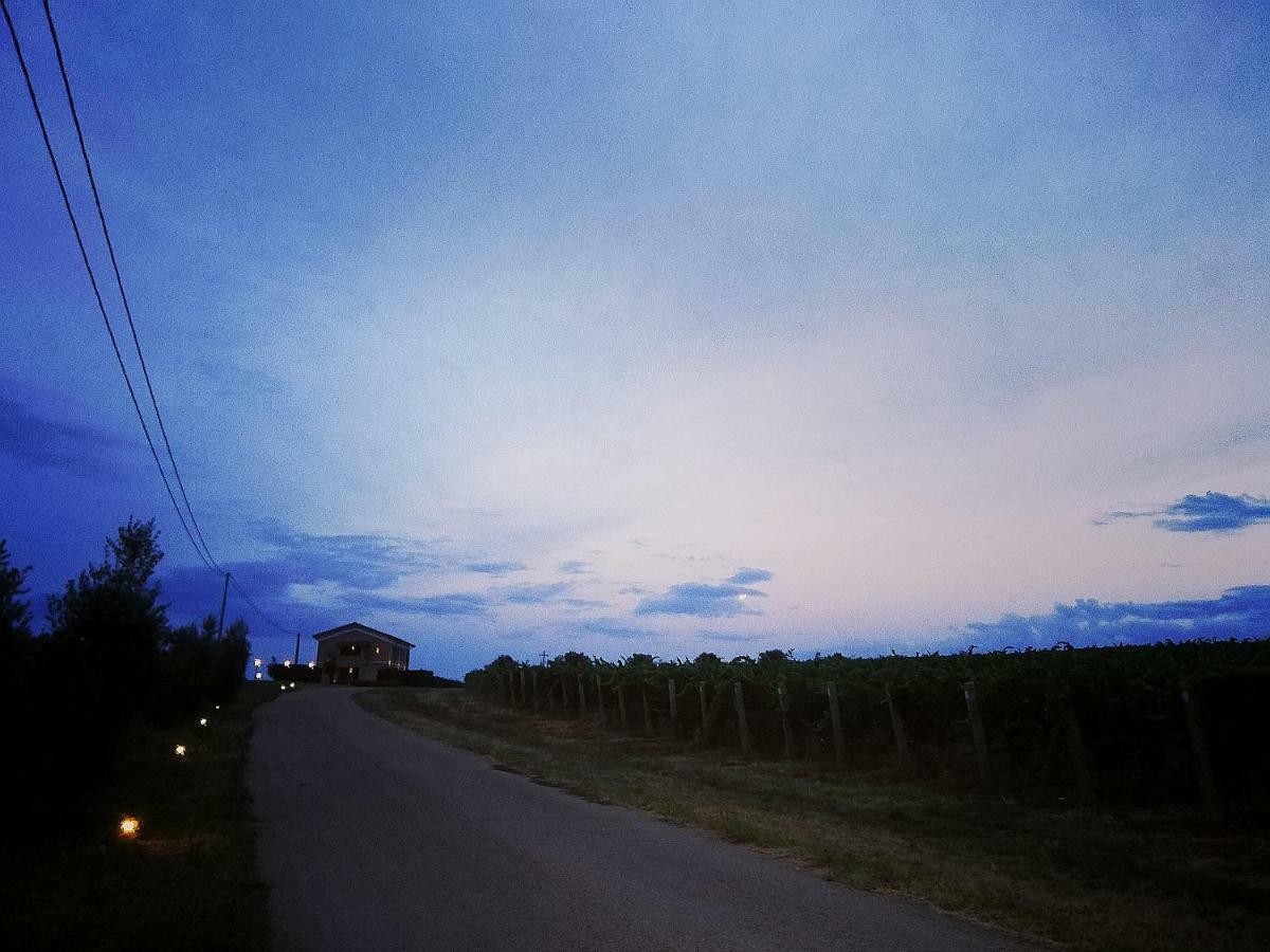 Il Casale Degli Ulivi - Agriturismo - Tenimenti Leone Lanuvio Exteriör bild